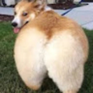 Meet your Posher, Mya